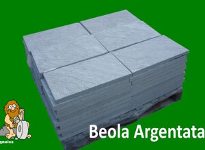 Beola Argentata