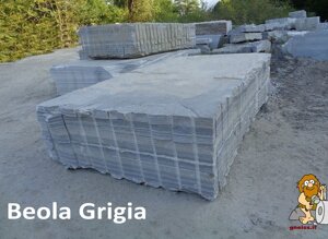Beola Grigia