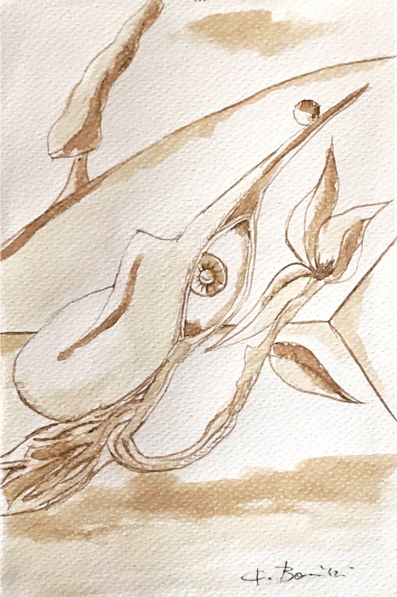 6d88931b19c87150d7680b8864d5abd1439e2c87.jpeg 6d88931b19c87150d7680b8864d5abd1439e2c87.jpeg