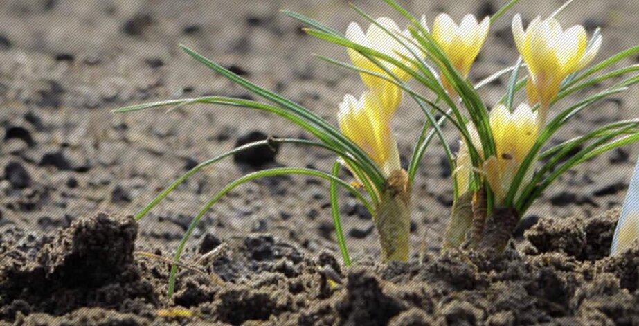 9dd411154d57c7f6927ed955f7bf2c75e5100922.jpeg 9dd411154d57c7f6927ed955f7bf2c75e5100922.jpeg