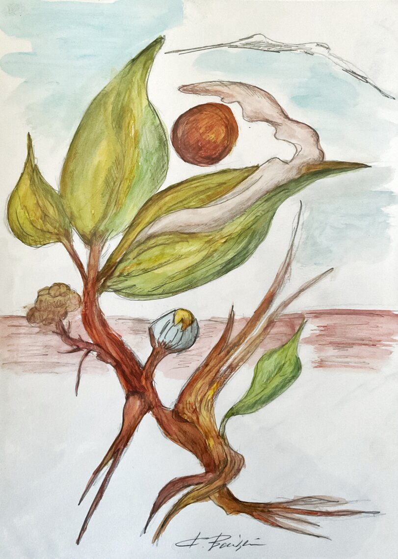 c0be727a5afecb275b83221d5e5c212add92e343.jpeg c0be727a5afecb275b83221d5e5c212add92e343.jpeg