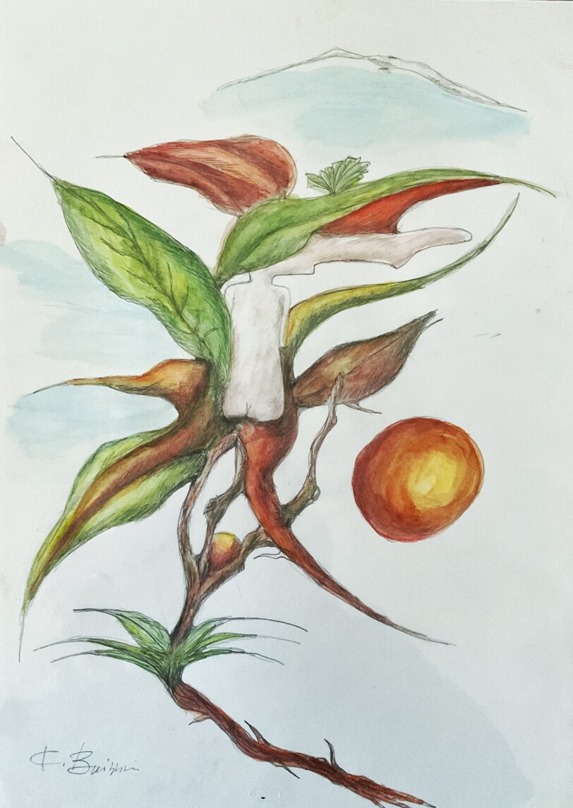 c19aaa01556dc4059a6c7d4ead96e44b79de8261.jpeg c19aaa01556dc4059a6c7d4ead96e44b79de8261.jpeg