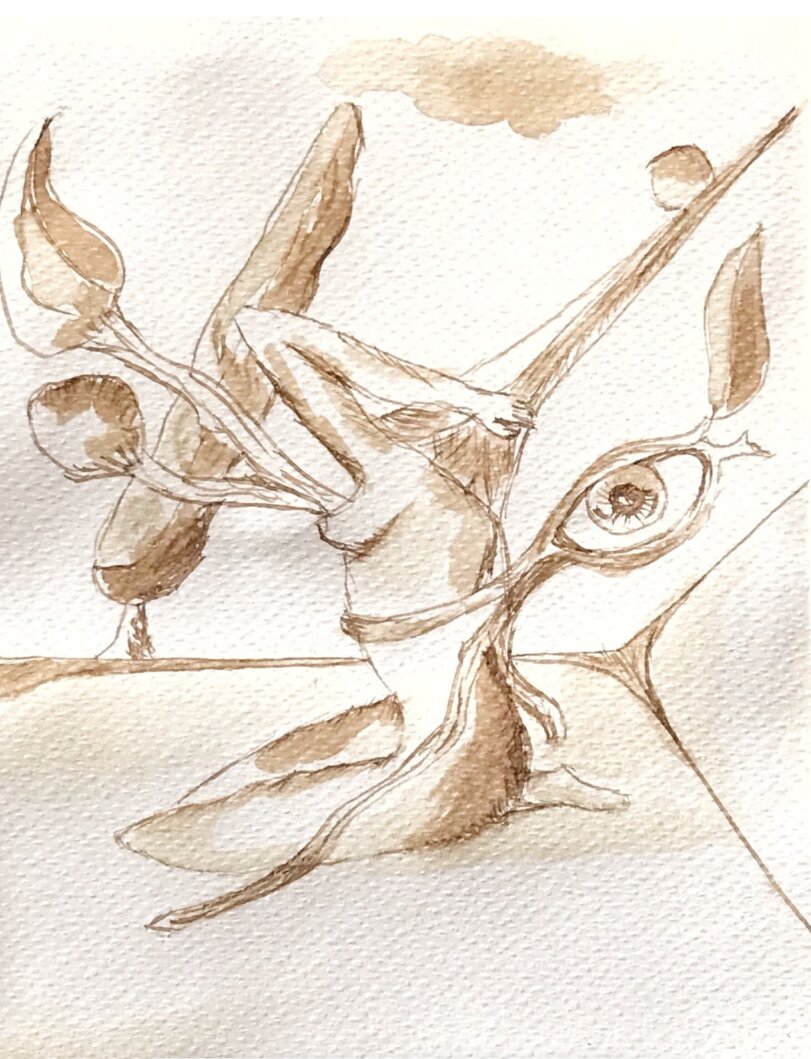 ceaa1f2c3ebd4b821f492f5fd9fa7b22e1682a9c.jpeg ceaa1f2c3ebd4b821f492f5fd9fa7b22e1682a9c.jpeg