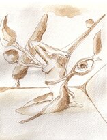 ceaa1f2c3ebd4b821f492f5fd9fa7b22e1682a9c.jpeg ceaa1f2c3ebd4b821f492f5fd9fa7b22e1682a9c.jpeg