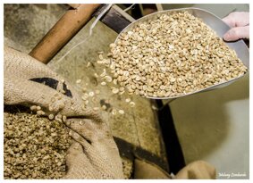 eyJpdCI6IkNhZmboIGNydWRvIGluIGZhc2UgZGkgbWlzY2VsYXppb25lIn0=