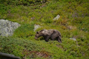 d850cd8c81e48beebaf3fb6a37673da2ed382fb6