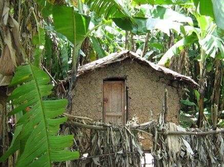 104c8beda5640647bc83d4ed0b126bf0005d2e4c