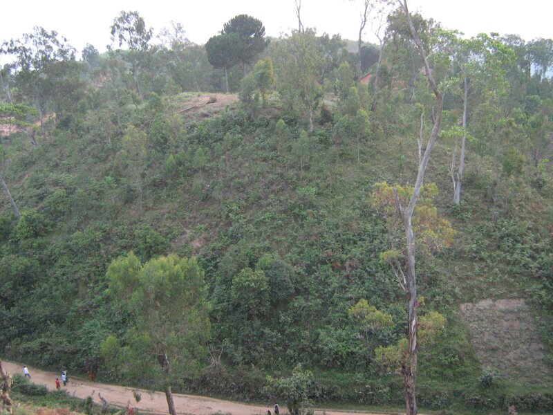 La collina dove sorger il centro
