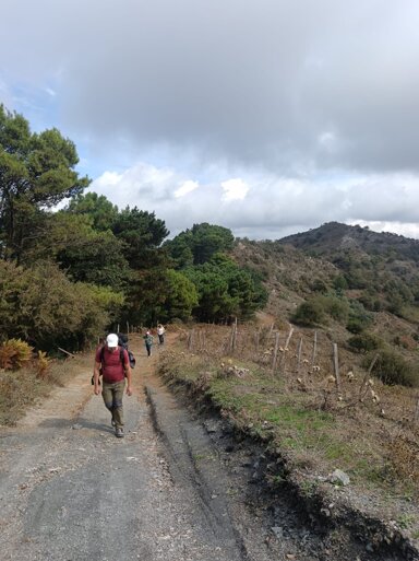 whatsapp image 2025-11-18 at 16.33.10.jpeg whatsapp image 2025-11-18 at 16.33.10.jpeg