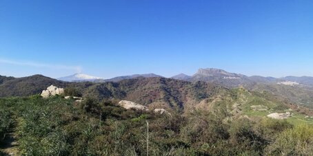 whatsapp image 2026-03-30 at 13.13.32.jpeg