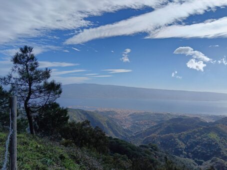 657110802_10225141963254430_842112405217347669_n.jpeg 657110802_10225141963254430_842112405217347669_n.jpeg