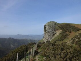 whatsapp image 2025-11-24 at 13.15.02.jpeg