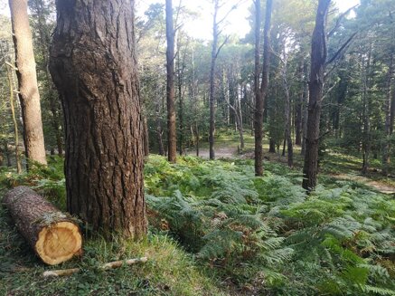 579044316_10223760750404972_93152793130803679_n.jpeg 579044316_10223760750404972_93152793130803679_n.jpeg