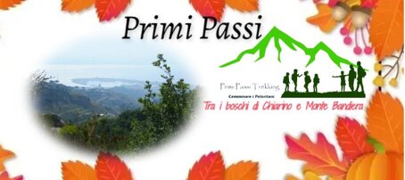 598349847_10224042925099163_2889619414011230585_n.jpeg 598349847_10224042925099163_2889619414011230585_n.jpeg