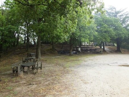 638165387_10224650111758450_6339888908166400849_n.jpeg 638165387_10224650111758450_6339888908166400849_n.jpeg