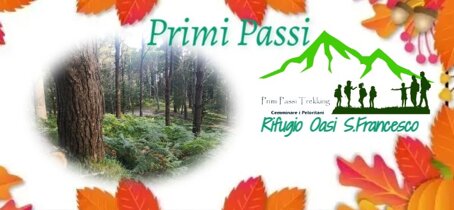 whatsapp image 2026-04-15 at 12.27.39.jpeg