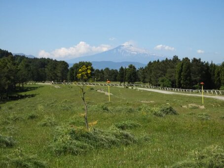 612060551_10224280289393122_3123083112660252407_n.jpeg 612060551_10224280289393122_3123083112660252407_n.jpeg