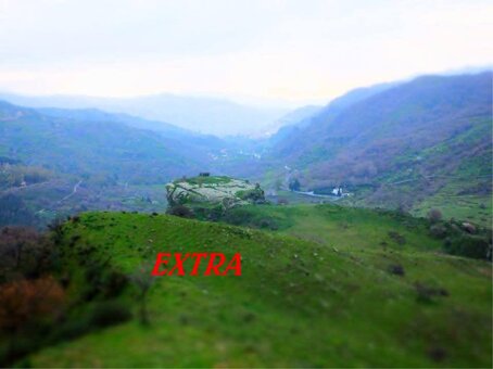 whatsapp image 2026-01-17 at 14.03.05.jpeg