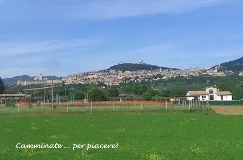 assisi panorama wf.jpeg