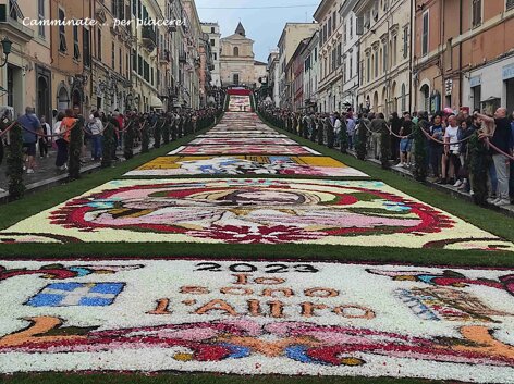 genzano infiorata wf.jpeg