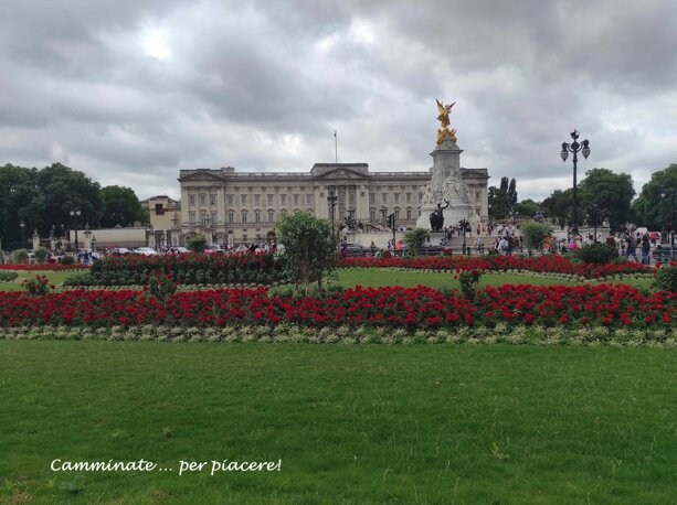 londra buckingham palace wf.jpeg