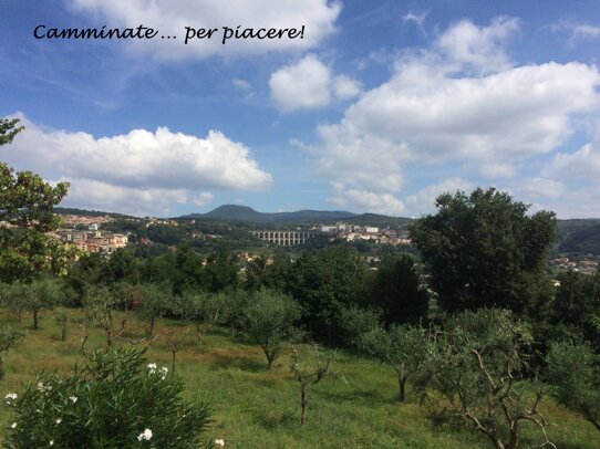 ariccia wf.jpeg ariccia wf.jpeg