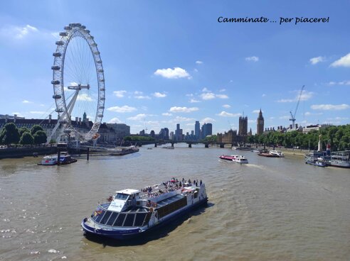 london eye wf.jpeg