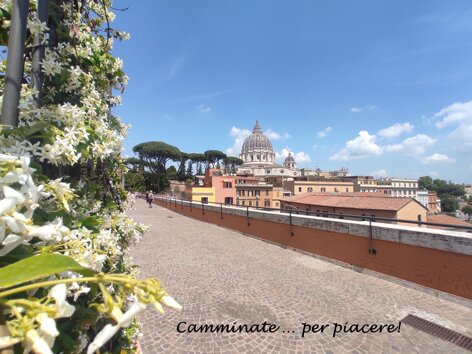 roma passetto del gelsomino wf.jpeg