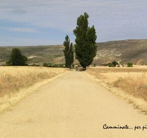 Castilla y Leòn Tratto della Meseta