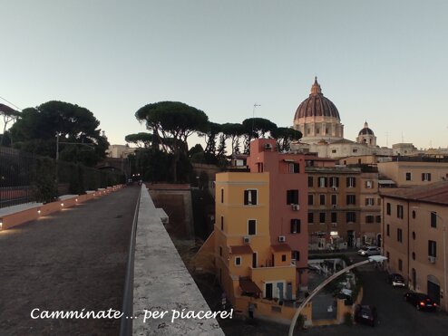roma san pietro ciclamini wf.jpeg roma san pietro ciclamini wf.jpeg