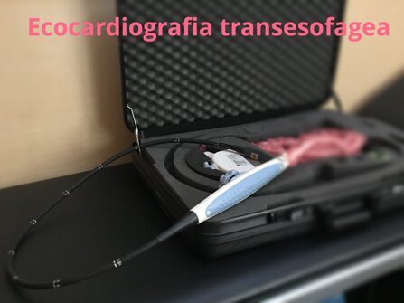 c1e436b9806adb4955eeb9d8fa8e17925449c753