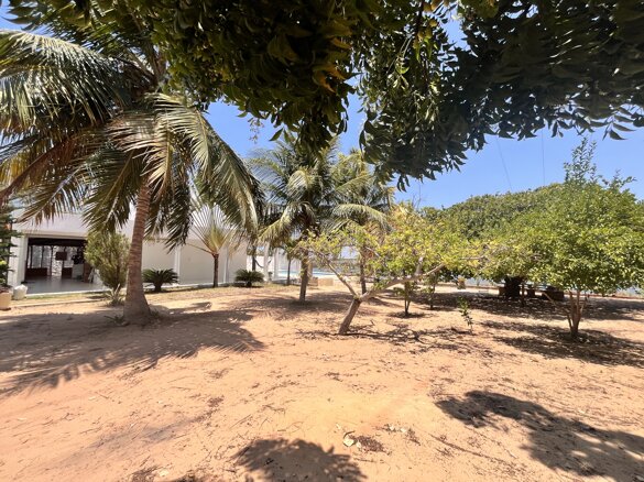 img_2552.jpeg img_2552.jpeg