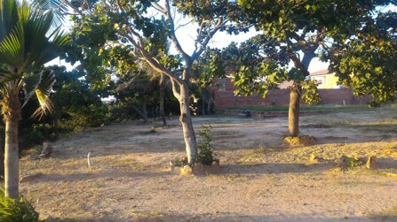 86c8fcb5b7d0d7a2a78c1796bc5426c044b3cf51