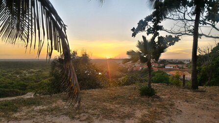 88c2c965b43416560fd2a41df8849276b5ff9be4