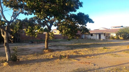 a6de2c36a46fd582a95b053e8e172ba2e3affcf9