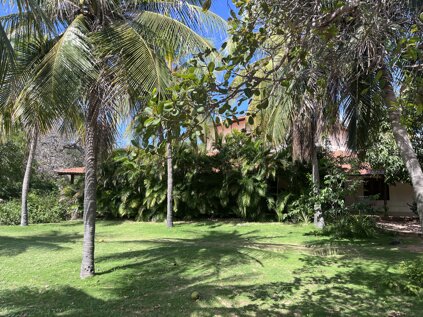 img_7487.jpeg