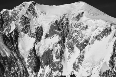 ale 61.jpeg ale 61.jpeg