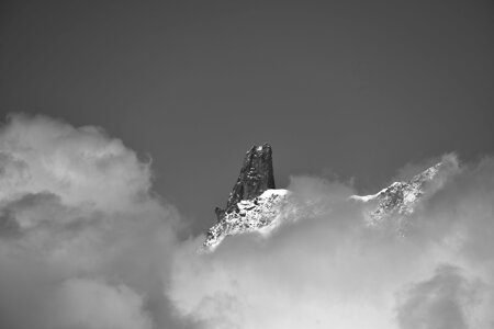 ale 125_01.jpeg ale 125_01.jpeg