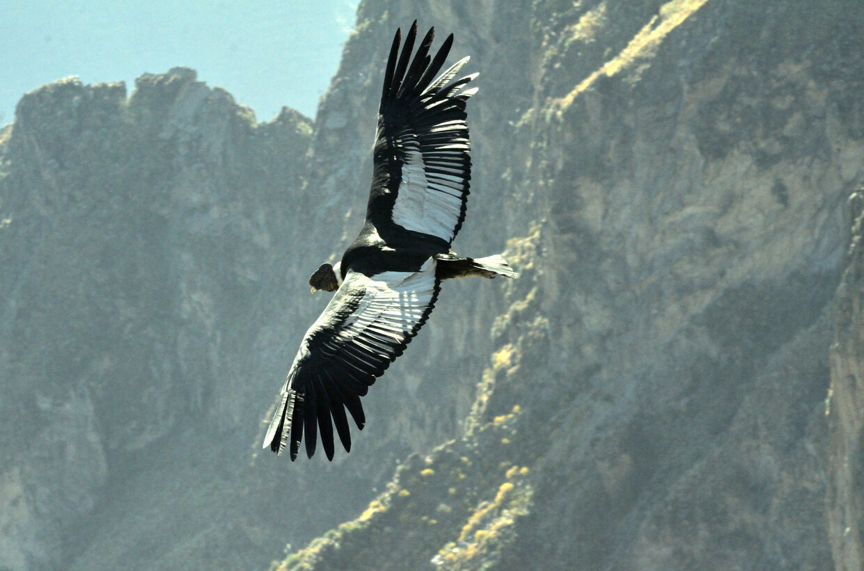 aaa_2906.jpeg aaa_2906.jpeg