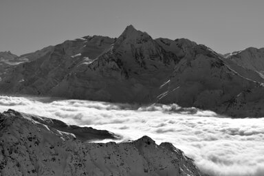 ale 99.jpeg ale 99.jpeg