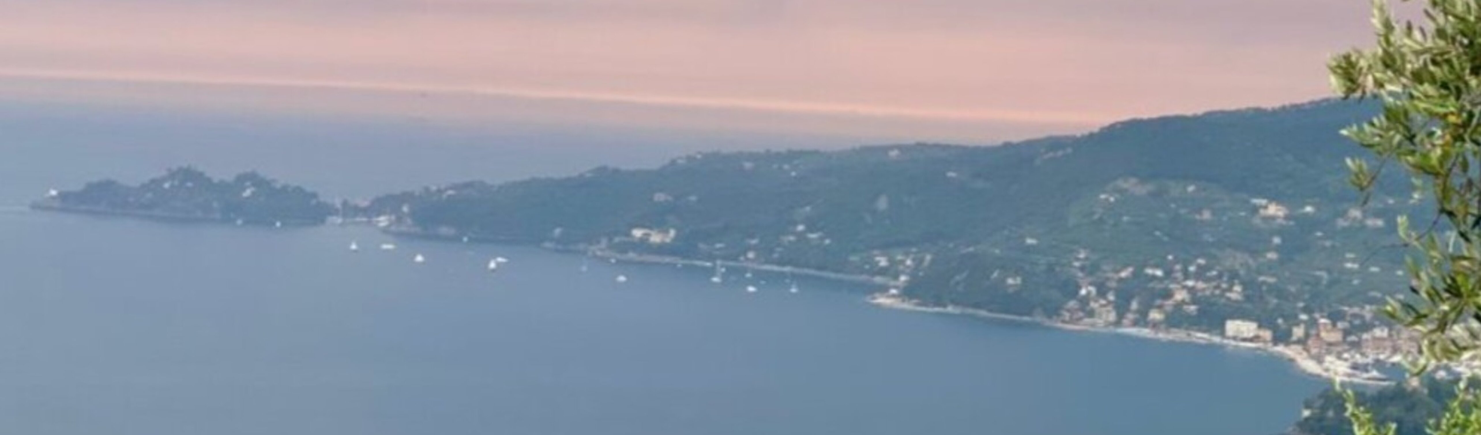 3852-1738-img_2930.jpeg