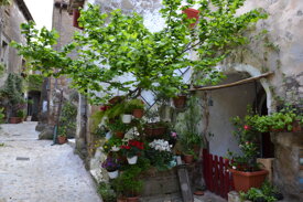 calcata (134).jpeg