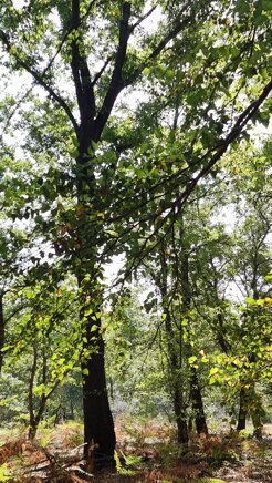 20230927_112613.jpeg 20230927_112613.jpeg