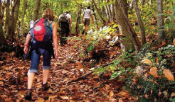 trekking17.jpeg trekking17.jpeg