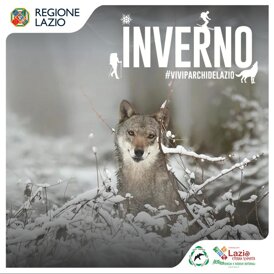 card_format_inverno_2024_25_x_powerpoint.jpeg card_format_inverno_2024_25_x_powerpoint.jpeg