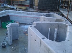 20160202_114547.jpeg