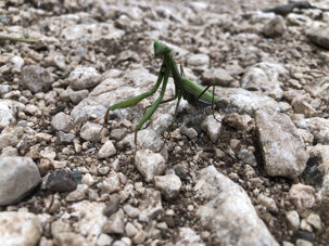 01df74d29ef86b633d8711b35ae4f0b895e2a563 01df74d29ef86b633d8711b35ae4f0b895e2a563