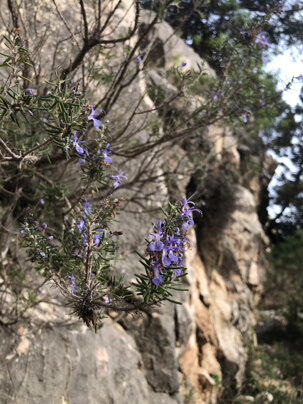 025df7a61909d6833521dc7d11990a4e3e4e6963 025df7a61909d6833521dc7d11990a4e3e4e6963