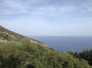 03932b2967e536730cbad0f781b50e790383e651 03932b2967e536730cbad0f781b50e790383e651