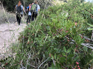 05d74eaece6d867e62514db2ee988445add4ed40 05d74eaece6d867e62514db2ee988445add4ed40